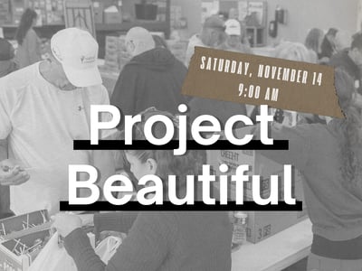 Project Beautiful 2026 Web Index