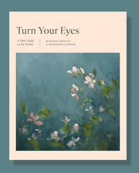 Turn Your Eyes WBS