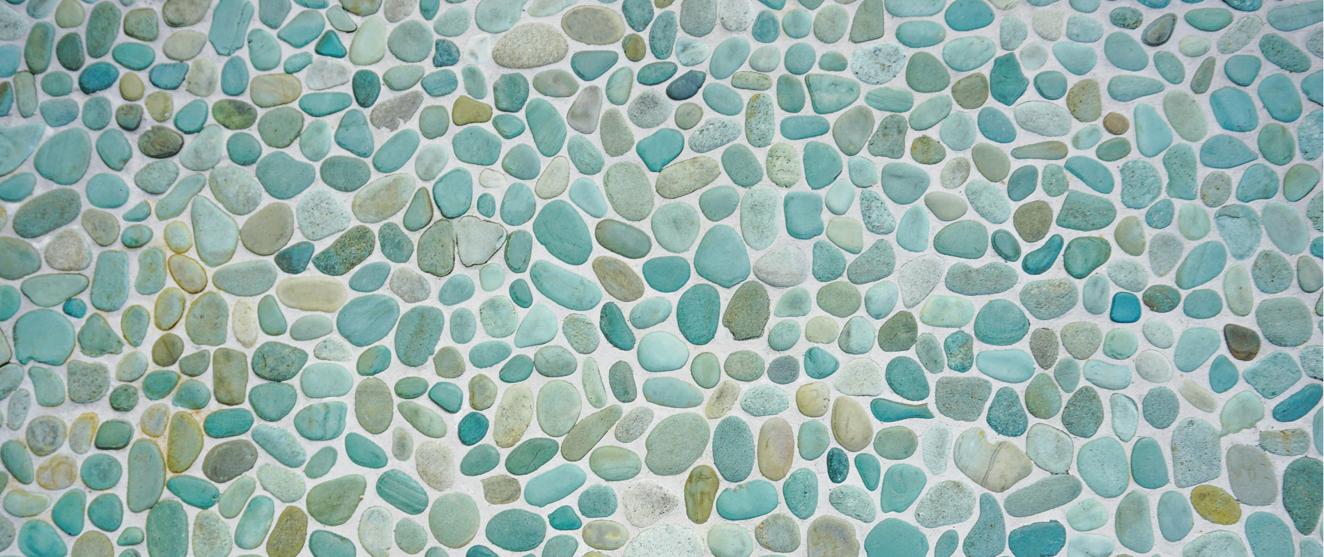 WBS Header WBS Header