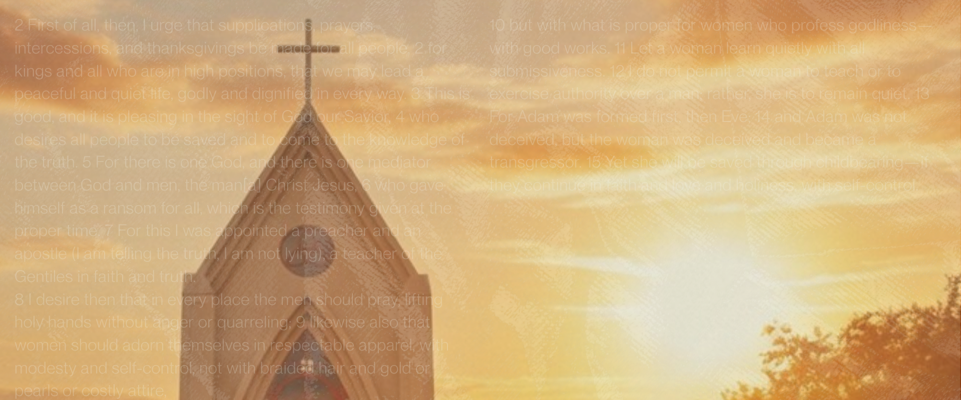 1 Timothy Web Header-1 1 Timothy Web Header-1