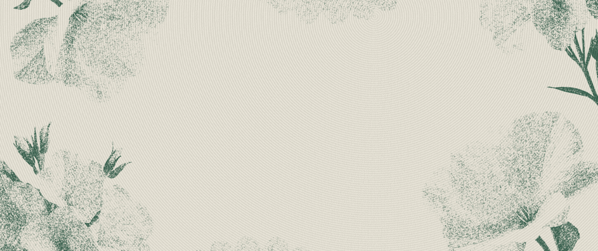 1900 x 800 Web Header