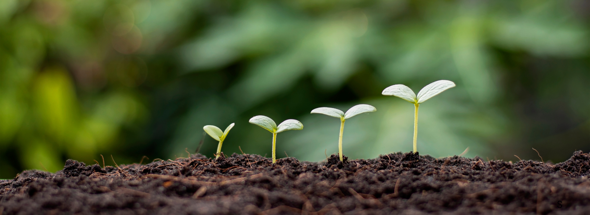 GOSPEL CENTERED LIFE HEADER 2 GOSPEL CENTERED LIFE HEADER 2