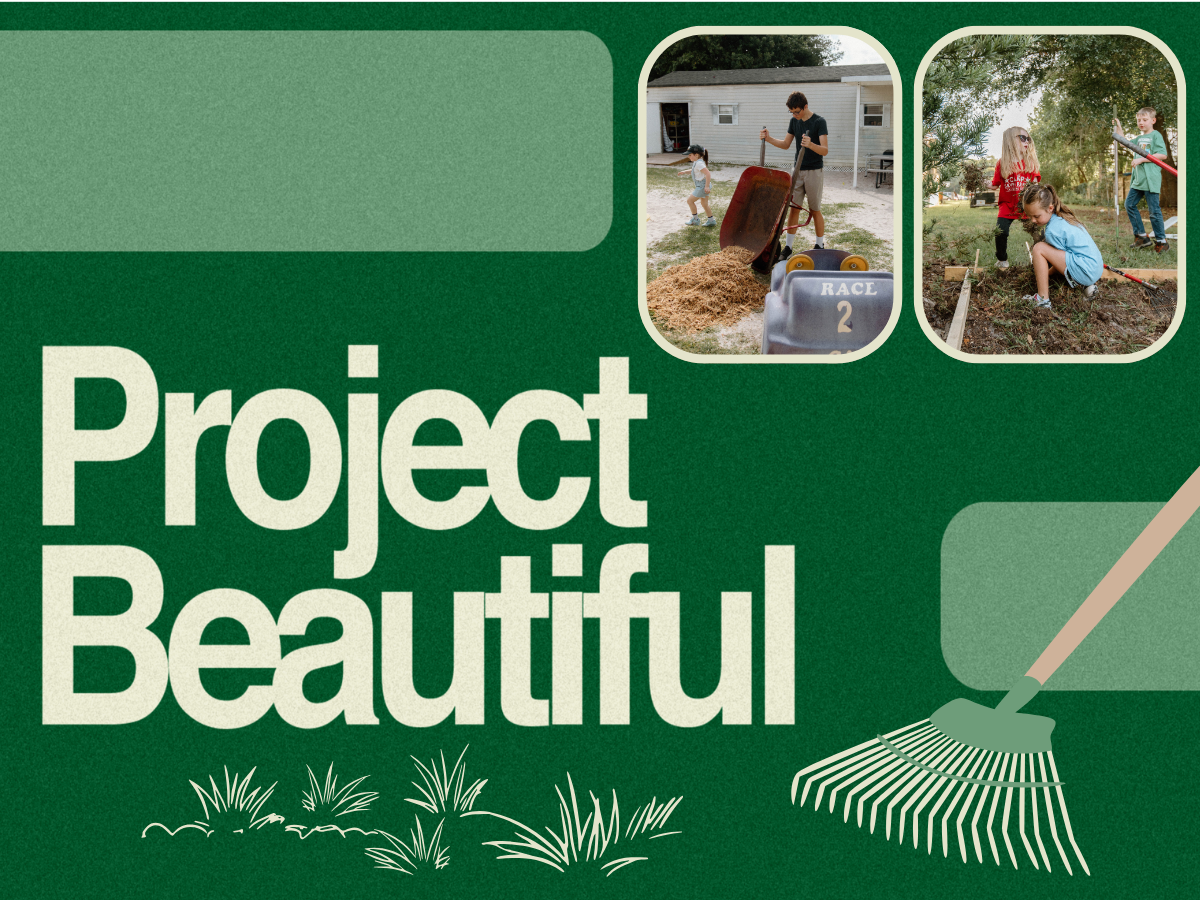 Project Beautiful YF