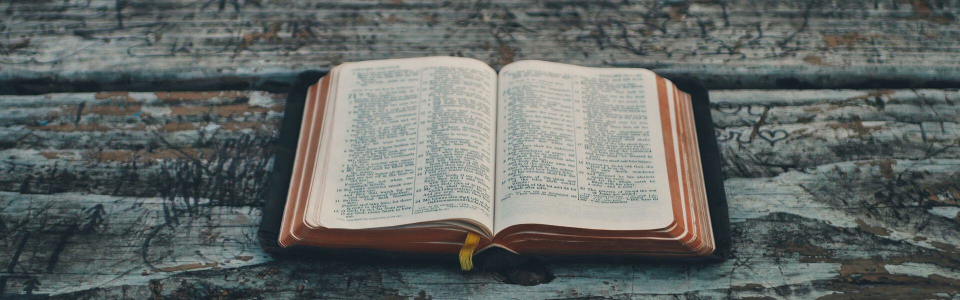 biblical elective